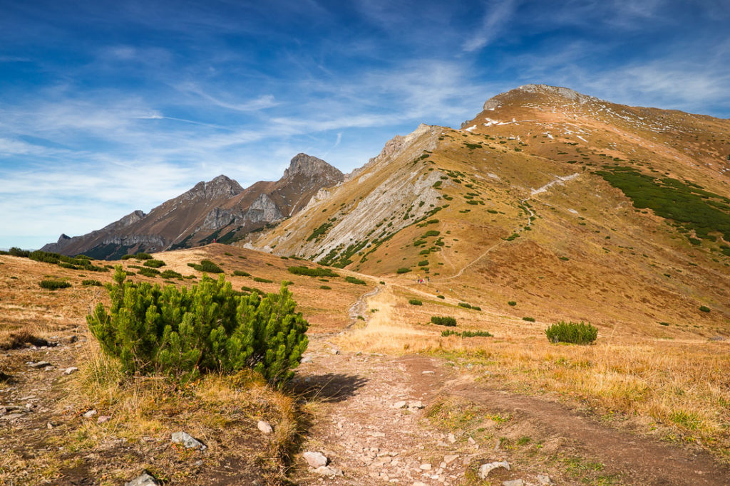 Looking back on the saddleback Kopské sedlo