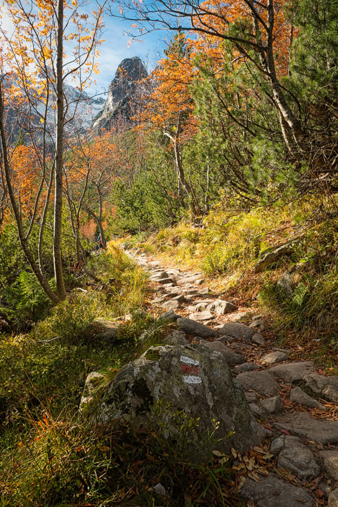 On the way down to the lake Zelené Pleso II.